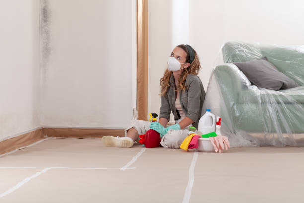 Reliable Crawl Space Mold Removal contractor in Louisville, KY by WQB Mold Removal